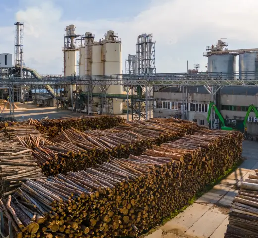 Wood Industry